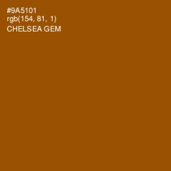 #9A5101 - Chelsea Gem Color Image